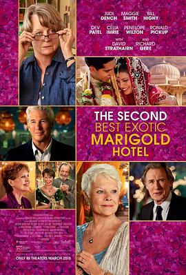 涉外大饭店2 The Second Best Exotic Marigold Hotel剧情介绍