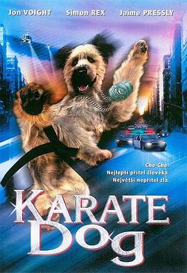 Ȯ The Karate Dog