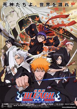 死神剧场版:无人的回忆 劇場版 BLEACH ブリーチ MEMORIES OF NOBODY剧情介绍