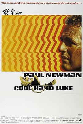 铁窗喋血 Cool Hand Luke剧情介绍