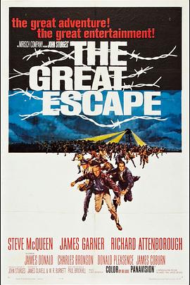 大逃亡 The Great Escape剧情介绍