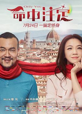 命中注定剧情介绍