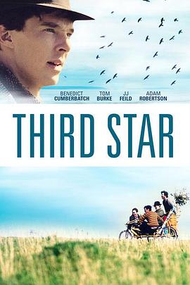 第三颗星 Third Star剧情介绍