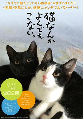 为什么猫都叫不来 猫なんかよんでもこない。剧情介绍
