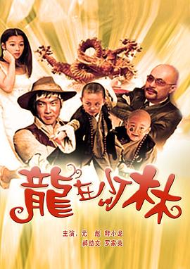 龙在少林 龍在少林剧情介绍