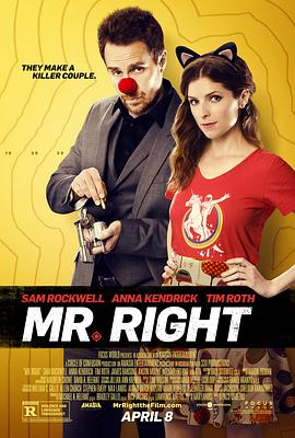 真命天子 Mr. Right剧情介绍