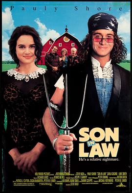 ¹ Son in Law