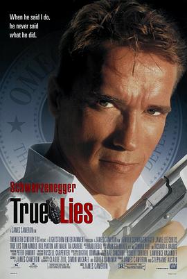 真实的谎言 True Lies剧情介绍