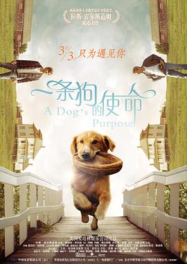 一条狗的使命 A Dog's Purpose剧情介绍