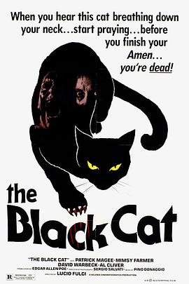  The Black Cat