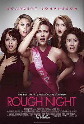 仓皇一夜 Rough Night剧情介绍