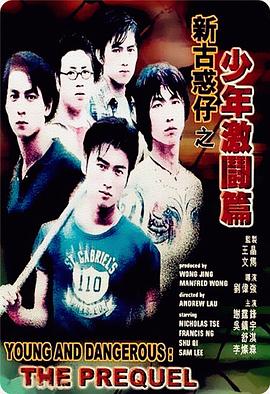 新古惑仔之少年激斗篇剧情介绍