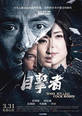 目击者之追凶 目擊者剧情介绍