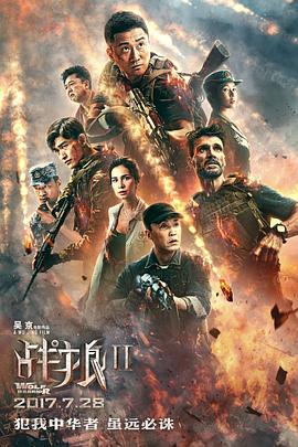 战狼2剧情介绍