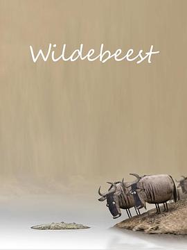 ţ Wildebeest