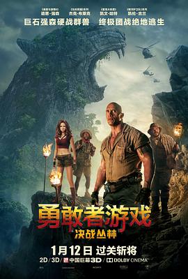 勇敢者游戏:决战丛林 Jumanji: Welcome to the Jungle剧情介绍