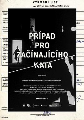 Ϊֵı绤 Ppad pro zanajcho kata
