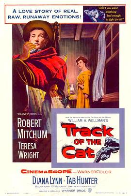 ѩɽ Track of the Cat