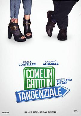 ·һֻè Come un gatto in tangenziale