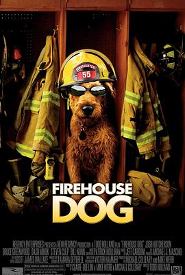 消防犬 Firehouse Dog剧情介绍