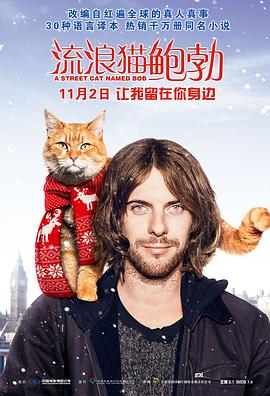 流浪猫鲍勃 A Street Cat Named Bob剧情介绍