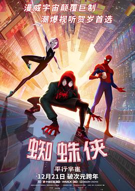 蜘蛛侠:平行宇宙 Spider-Man: Into the Spider-Verse剧情介绍