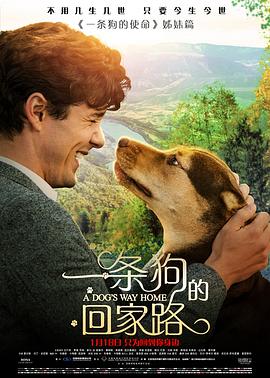 一条狗的回家路 A Dog's Way Home剧情介绍