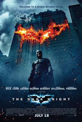 蝙蝠侠:黑暗骑士 The Dark Knight剧情介绍