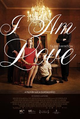 我是爱 Io sono l'amore剧情介绍