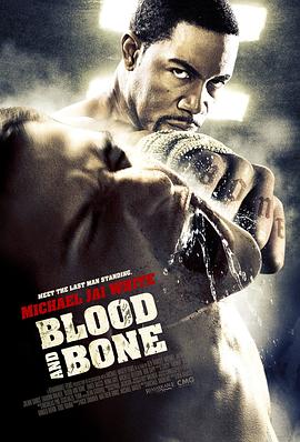 血与骨 Blood and Bone剧情介绍