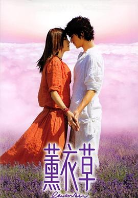 薰衣草剧情介绍