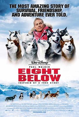南极大冒险 Eight Below剧情介绍