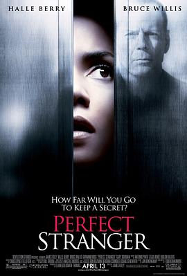 完美陌生人 Perfect Stranger剧情介绍
