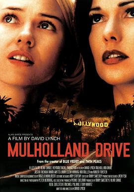 穆赫兰道 Mulholland Dr.剧情介绍