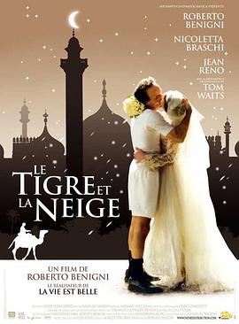 爱你如诗美丽 La tigre e la neve剧情介绍