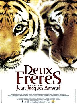 虎兄虎弟 Deux frères剧情介绍