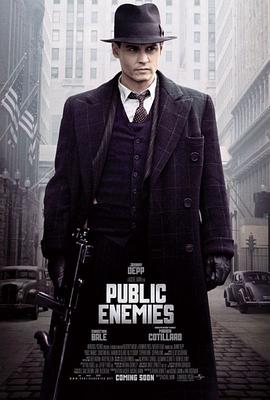 公众之敌 Public Enemies剧情介绍