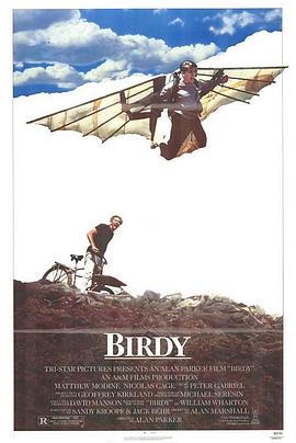 鸟人 Birdy剧情介绍