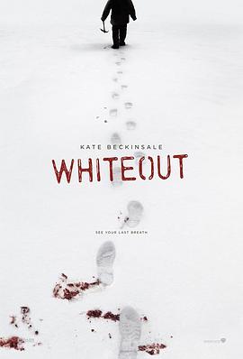 雪盲 Whiteout剧情介绍