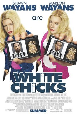 小姐好白 White Chicks剧情介绍