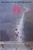 ʿԸ The Terry Fox Story