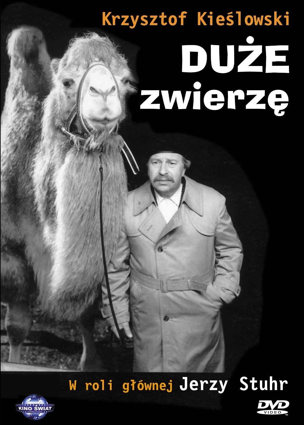 Ȼ Due zwierz