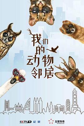 ǵĶھӾ