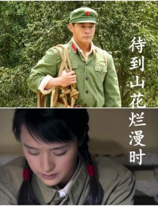 Ӿ纣