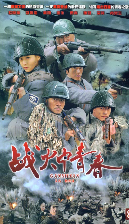 战火中青春剧情介绍
