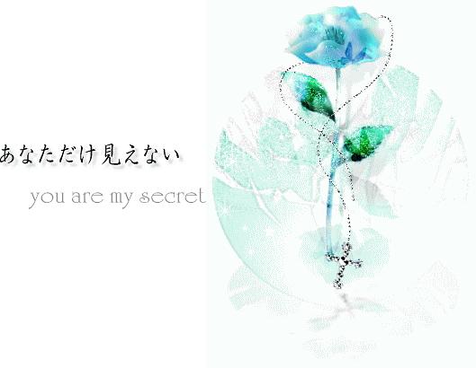 ֻ���㿴�����������