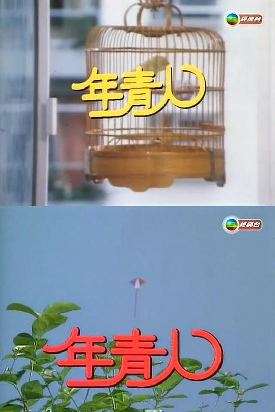 Ӿ纣