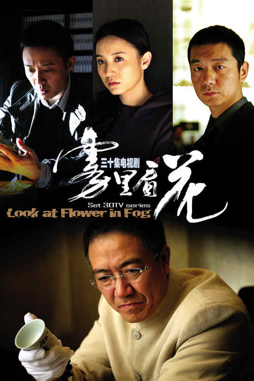 雾里看花剧情介绍