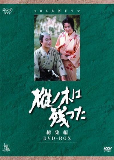 最后的枞树剧情介绍