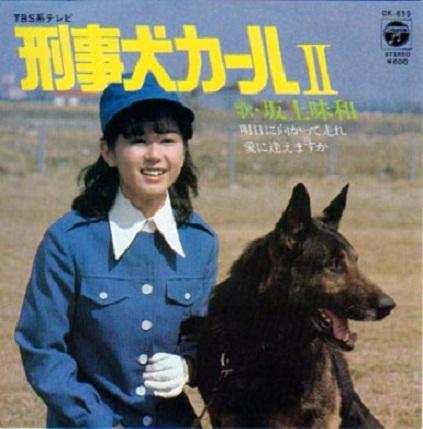 Ӿ纣